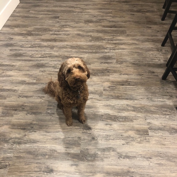 Meet your Posher, Brian - Picture 1 of 1